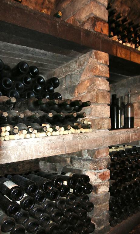 Penzion A Restaurace U Hroznu Velke Bilovice Luaran gambar